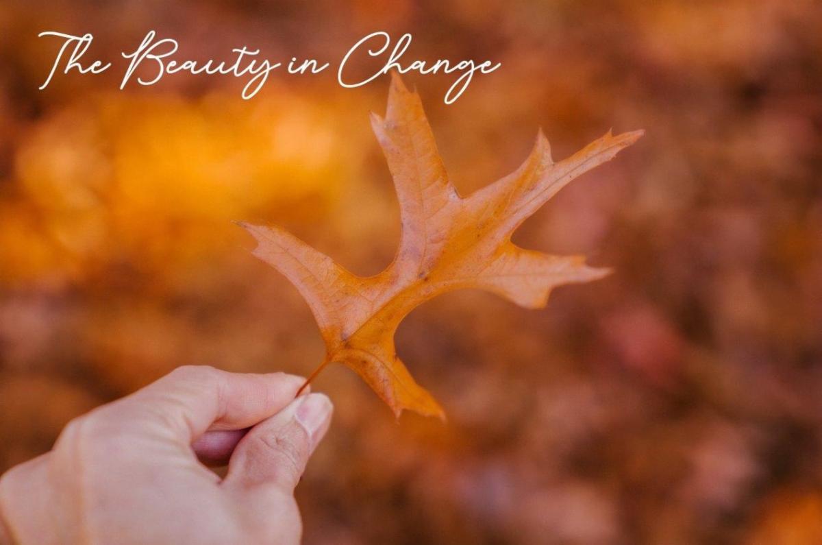 Beauty of Change