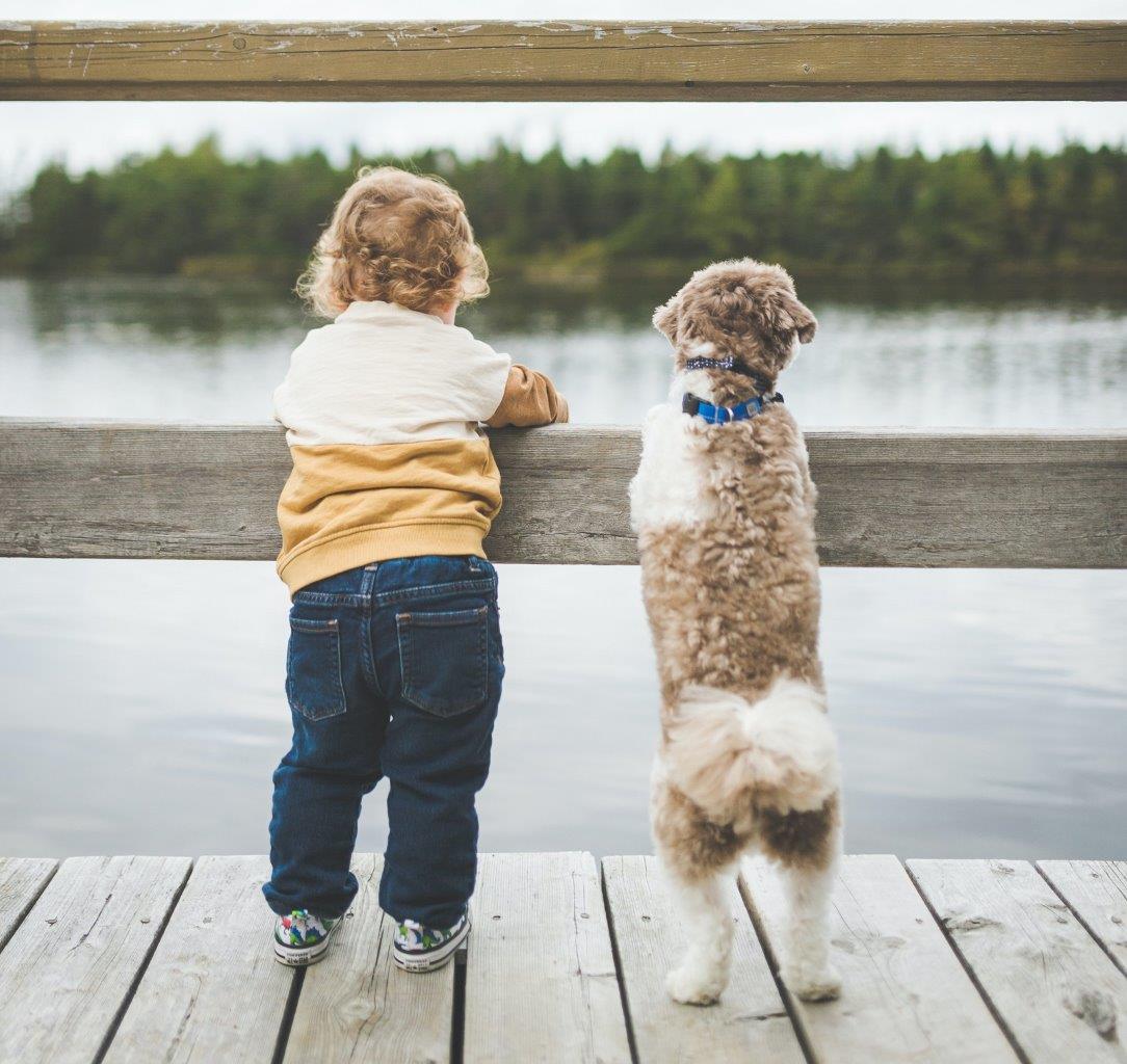 Kid and Dog