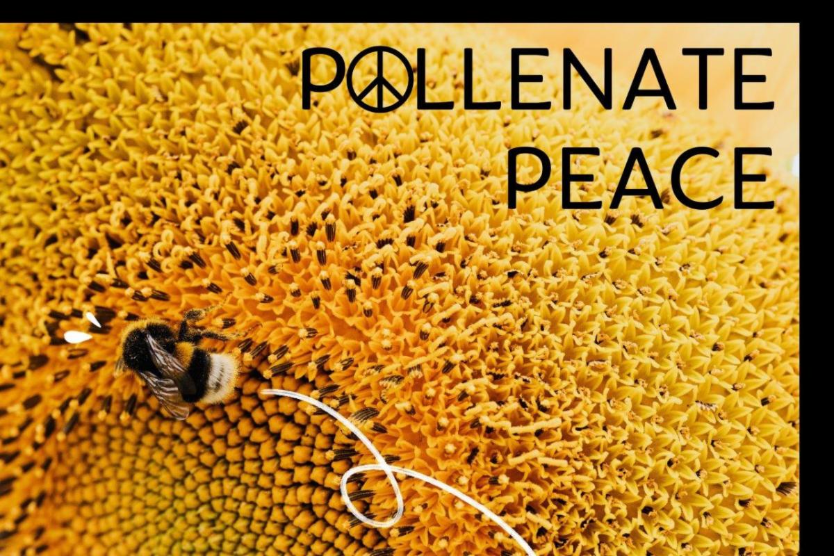 Pollenate Peace